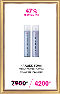 Fixativ Wella Performance