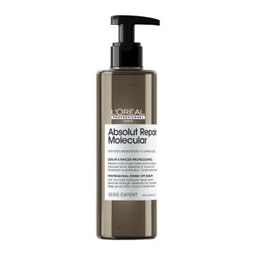 Серум без Отмиване за Увредена Коса L’Oreal Professionnel Serie Expert Absolut Repair Molecular 250мл