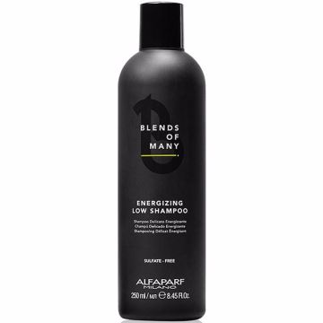 Alfaparf Milano Men Blends of Many Energizing Low Sampon 250ml