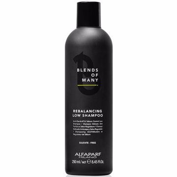 Alfaparf Milano Men Blends of Many Rebalancing Low Sampon 250ml