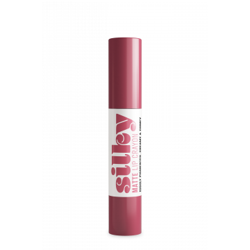 Ruj tip creion Andreia Professional Silky Lip, cu finisaj mat, 01 Plum, 2.8g