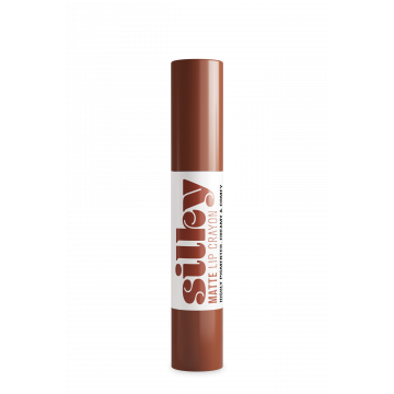 Ruj tip creion Andreia Professional Silky Lip, cu finisaj mat, 04 Coffee, 2.8g