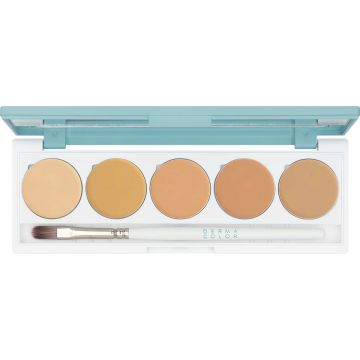 Paleta fond de ten  Kryolan Dermacolor Camouflage Creme 5 nuante DQ1 10g Xpert Beauty