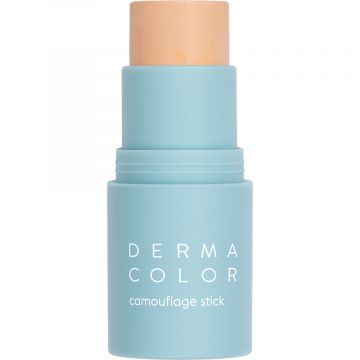 Fond de ten Kryolan Dermacolor Camouflage Stick D62 6.5g Xpert Beauty