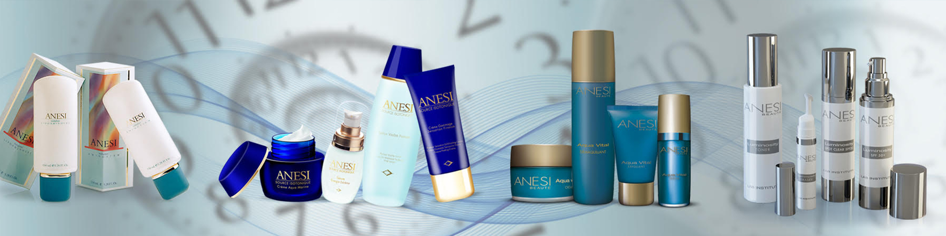 ANESI